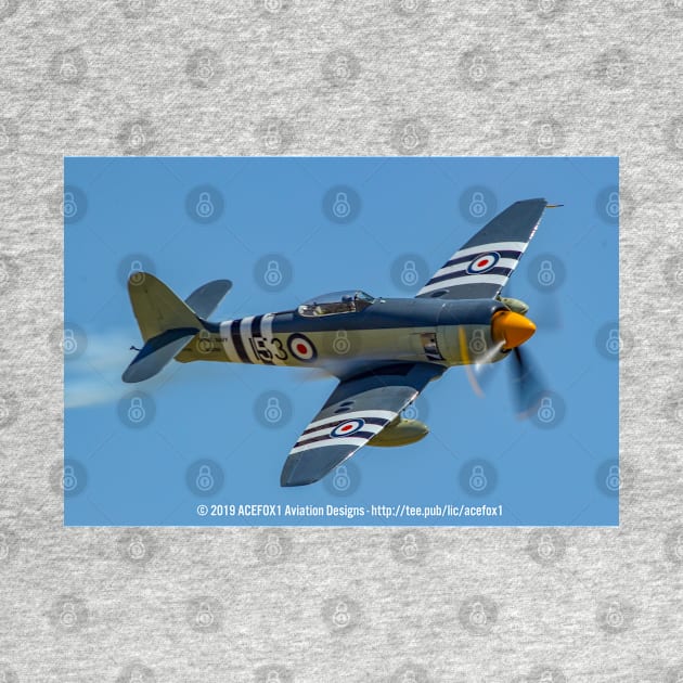 Sea Fury High-Speed Pass by acefox1